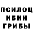 Псилоцибиновые грибы ЛСД Michael Malofeev
