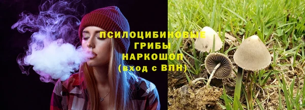 mdpv Магас