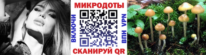 Галлюциногенные грибы мицелий  МЕГА онион  Стародуб 